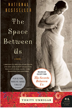 The Space Between Us, by Thrity Umrigar